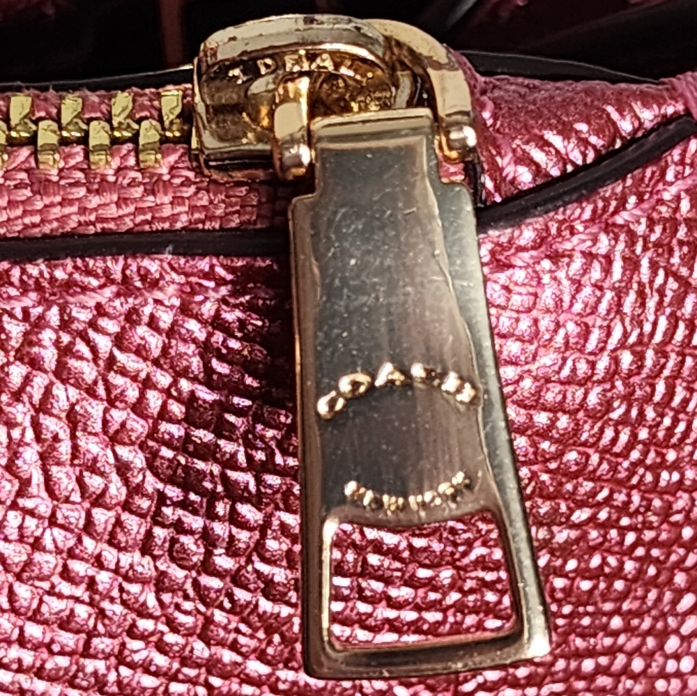 Coach Mini Brooke Carryall - Picture 6 of 16